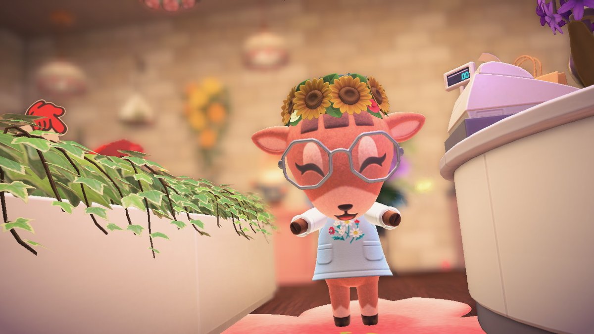 MistyBayPics's tweet photo. #AnimalCrossing #ACNH #NintendoSwitch https://t.co/rYfi2T3S83