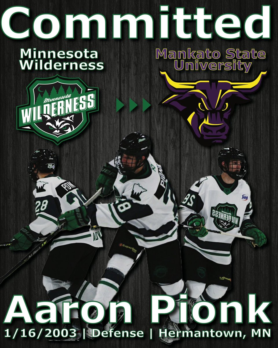 Minnesota Wilderness tweet media