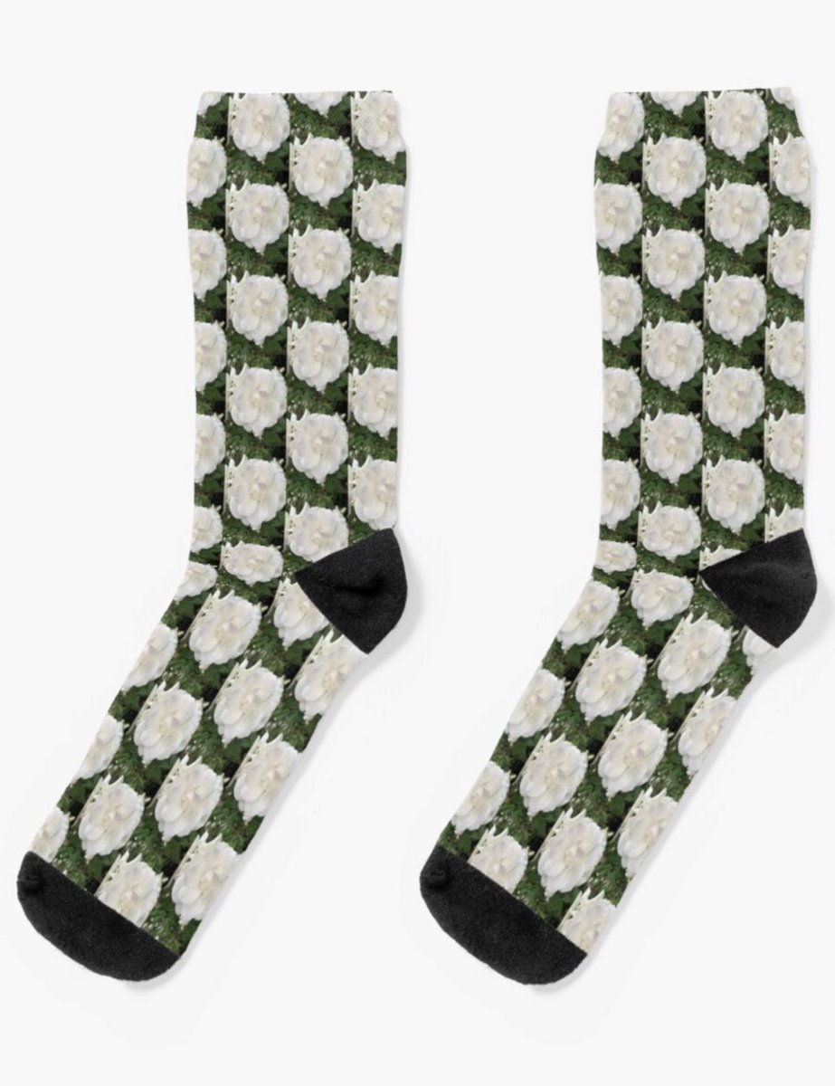 AmandaJK_'s tweet photo. Socks are such a trend RN
Just 4 of my favourites below
Go have a look at my #redbubbleshop
Link in my pinned tweet π
#photography #socks #giftideas #tedbubble https://t.co/0AwDUDDddM