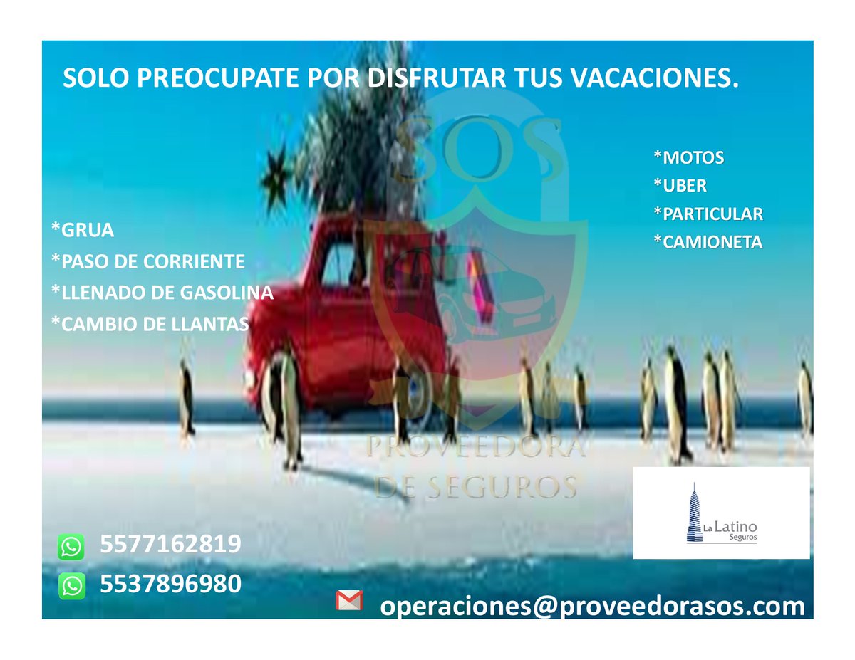 SOSProveedora's tweet photo. En estas epocas de mayor aluencia no dejes de ultimo tu seguridad.
cotiza gratis con nosotros. 5614633542
#cuautitlan #cuautitlanizcalli #coacalco #tultitlan #tultepec #tepotzotlan #sanmateoxoloc #sanmateoixtacalco #melchoocampo #zumpango #visitacion #parquesanmateo #galaxia https://t.co/V8ram9wugm