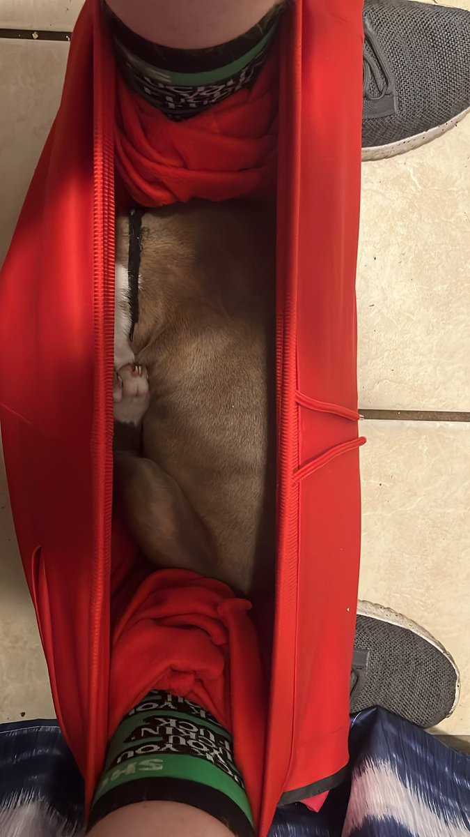 JPadgett75's tweet photo. Idk how to pull my pants up without interrupting his sleep https://t.co/qiVN7asv6Z