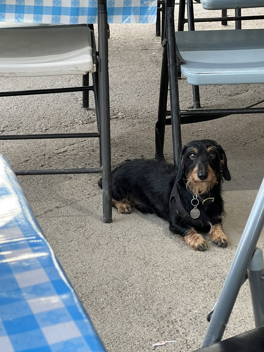 Dave Portnoy tweet media