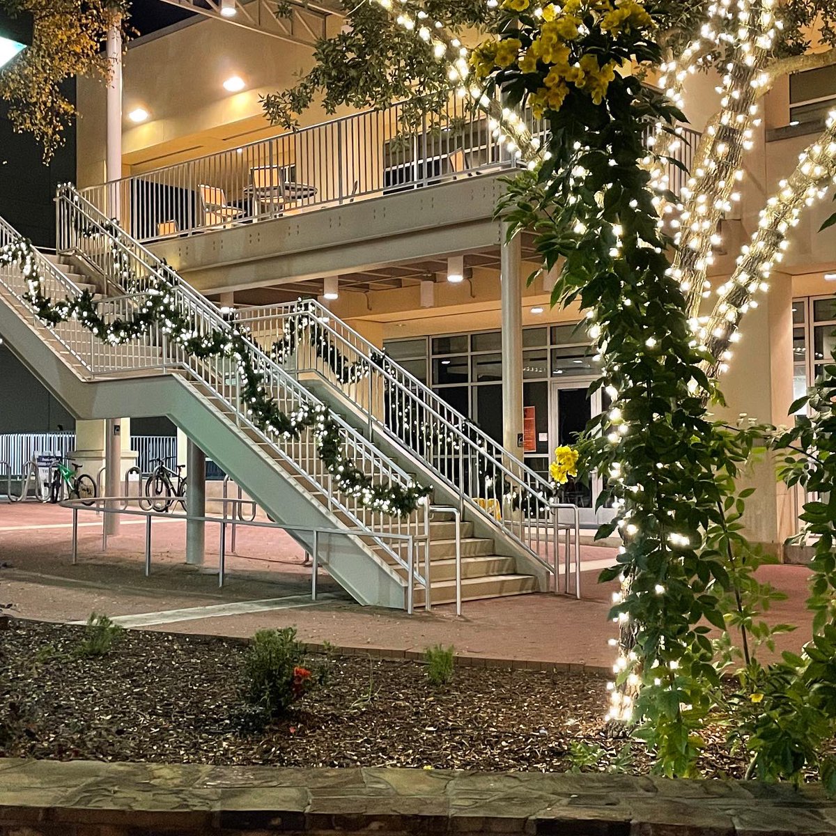 UTSA's tweet photo. Merry and bright ✨

#UTSA #TwinkleLights https://t.co/mq5PCjiLLU