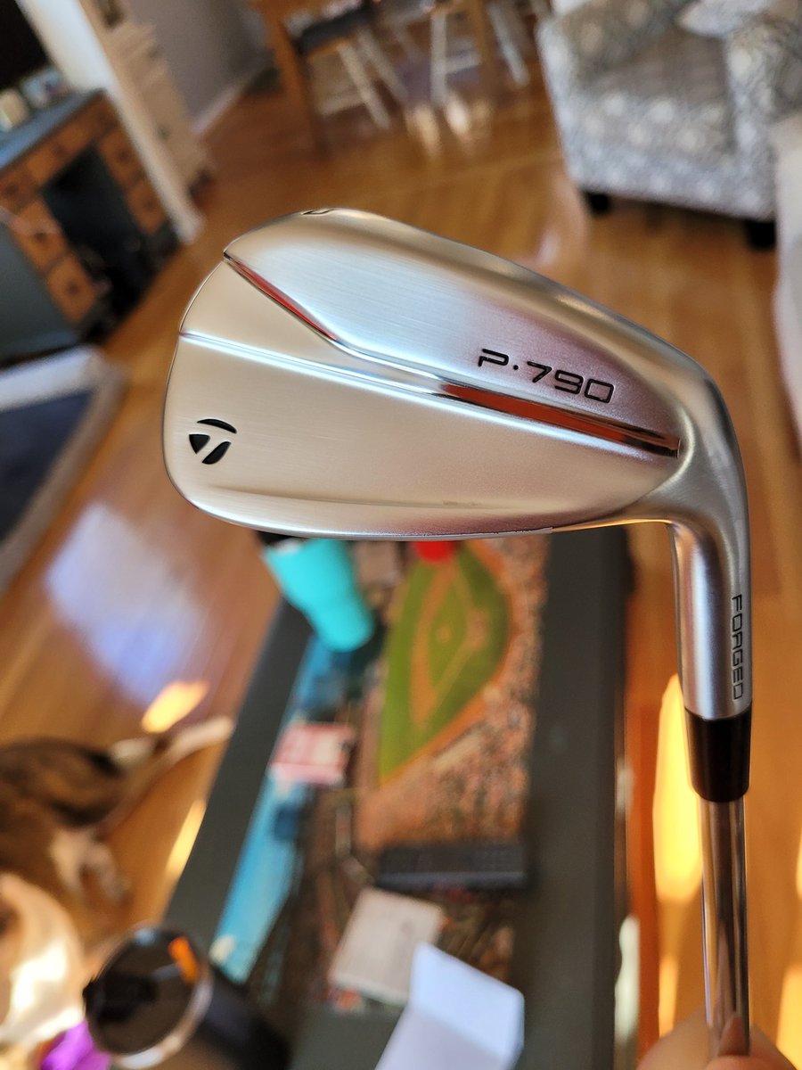 ParsA_GoodScore's tweet photo. It took 4 months, but my new sticks finally came in! Can't wait to get back to the course! https://t.co/oCuoNi9rek