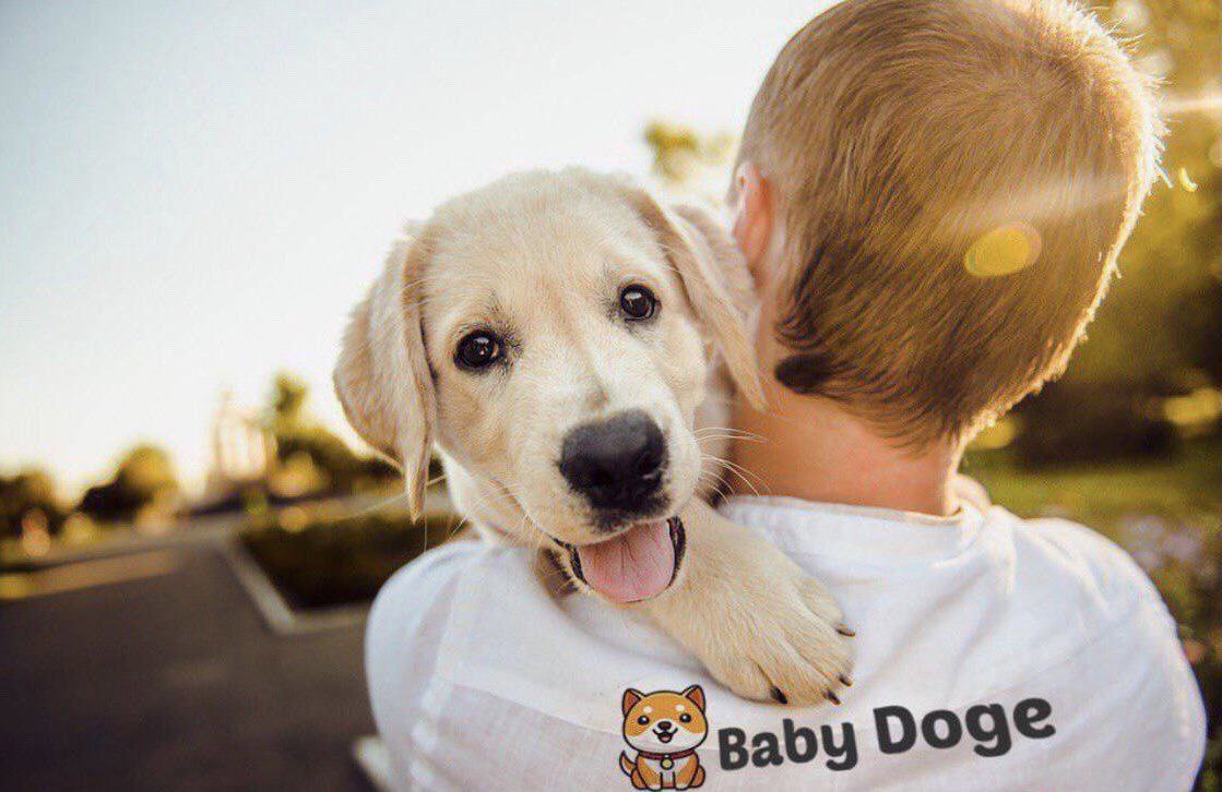 Jsouza8809's tweet photo. @binance @babydoge mooooonnnnnnnn🚀🚀🚀🚀

#BabyDoge #BabyDogeArmyBR #BSC #BTC  #BabyDogeArmy #BabyDogeCoin @babydoge @elonmusk @binance @cz_binance @herothedog https://t.co/0bZhoefuvx