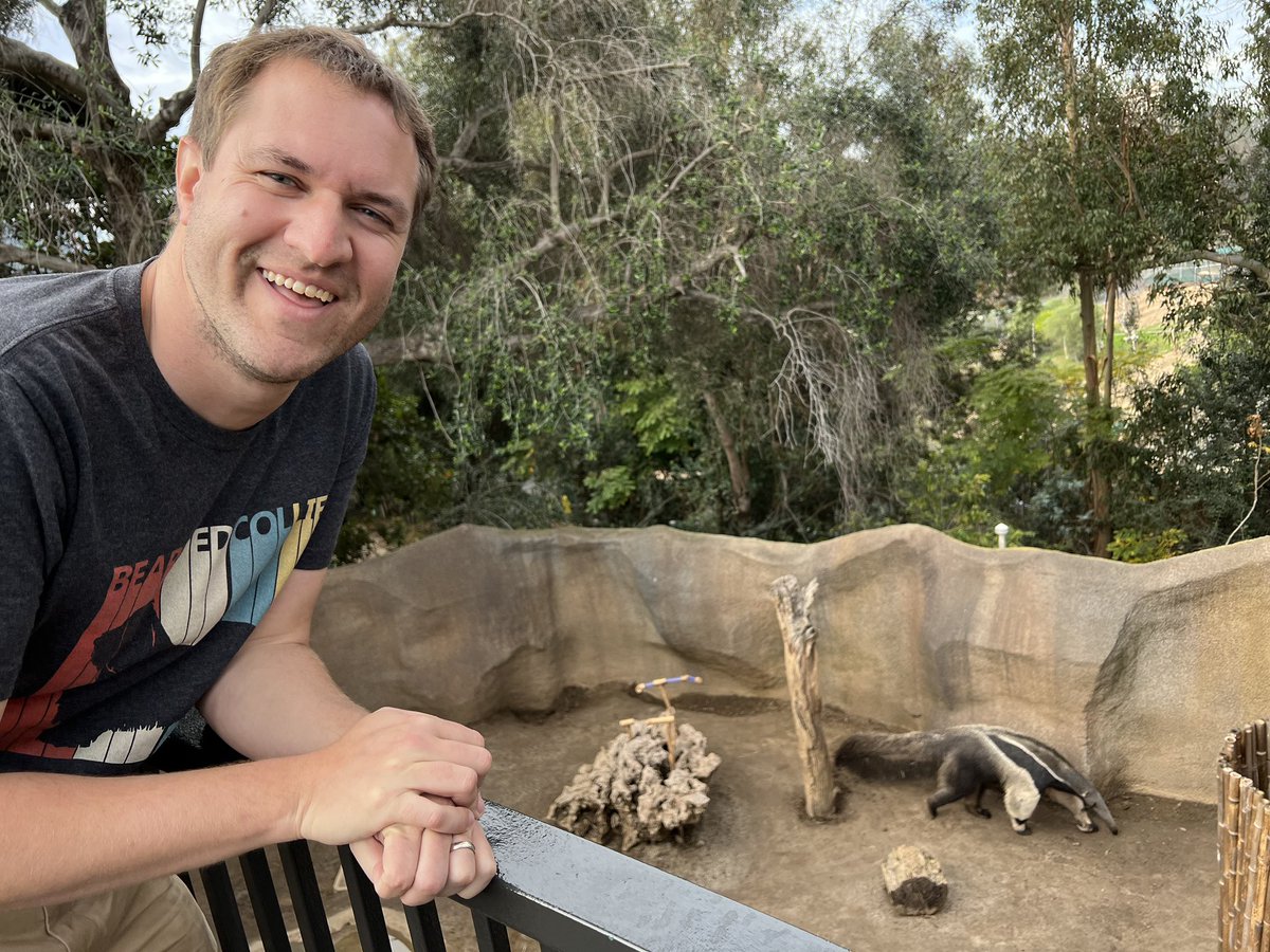 DougDeMuro's tweet photo. Today I went to the zoo and I saw the Aston Martin Lagonda. https://t.co/4PVGBBInL7