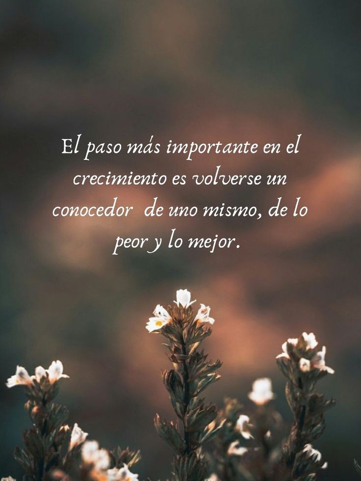 Namaste_mandalas (@namaste_mandala) on Twitter photo 