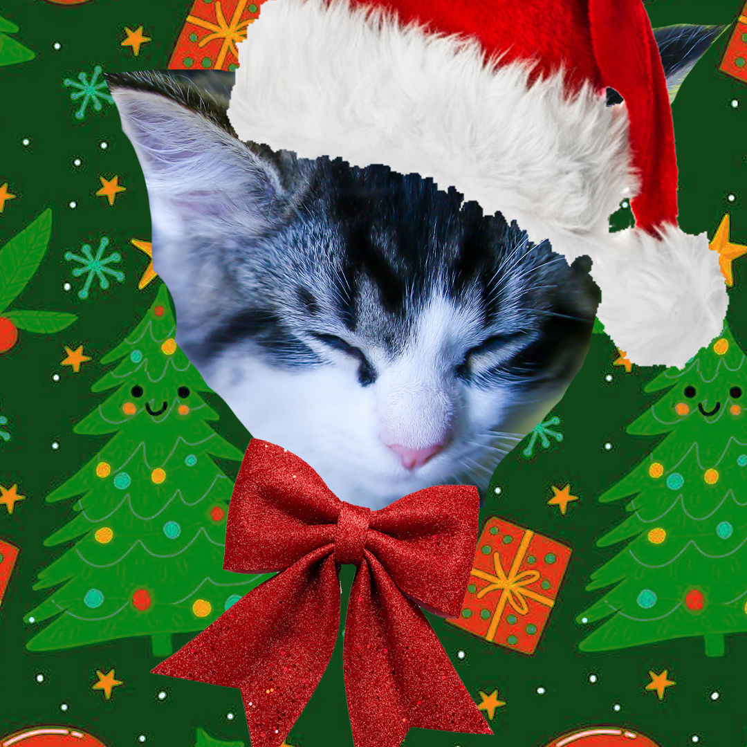 Meri Amber (@meriamber) on Twitter photo Don't forget... I'm doing my one & only holiday stream in a little under 4 hours on <a href="/Twitch/">Twitch</a>!
twitch.tv/meriamber
Come along & witness my glorious ugly sweater!!
<a href="/Twitch_ANZ/">Twitch ANZ</a> <a href="/TwitchMusic/">Twitch Music</a> #SorkFamily Don't forget... I'm doing my one & only holiday stream in a little under 4 hours on <a href="/Twitch/">Twitch</a>!
twitch.tv/meriamber
Come along & witness my glorious ugly sweater!!
<a href="/Twitch_ANZ/">Twitch ANZ</a> <a href="/TwitchMusic/">Twitch Music</a> #SorkFamily