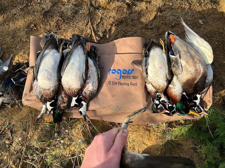 It's Wednesday! Gotta love those wood ducks!
.
.
.
#woodduckwednesday #duckseason #waterfowl #duckhunting #rogerssportinggoods
📷: <a href="/crayton_klika/">Crayton Klika</a>