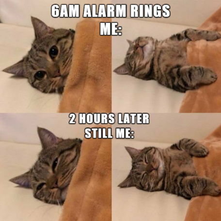 MomosBargains's tweet photo. Yes, I know the feeling... https://t.co/KLC8d9Ad3b
