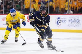 Patrick Andrews tweet media