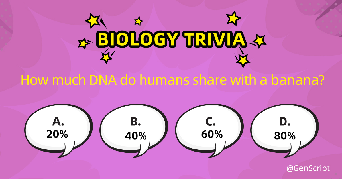 Take a guess! 😉🧐