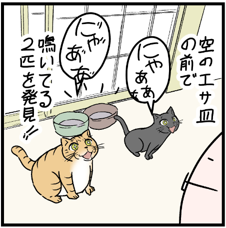 撫でたらカワイく甘えてきてほしかった・・・
 #ニャンコ #まんが #猫 #猫あるある #猫漫画 #ペット #飼い主 #エッセイ漫画 #キャット #ねこのいる生活 #4コマ 