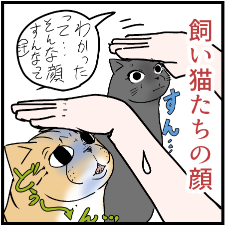 撫でたらカワイく甘えてきてほしかった・・・
 #ニャンコ #まんが #猫 #猫あるある #猫漫画 #ペット #飼い主 #エッセイ漫画 #キャット #ねこのいる生活 #4コマ 