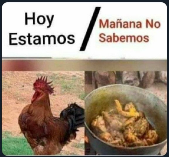 JuliethRivera89's tweet photo. Esta mañana de camino al trabajo vi este meme y se me hizo muy gracioso... Luego, finalizando la tarde, me cuenta una amiga que una excompañera del colegio de ambas murió de cáncer, a los 30 años y dejando una nena de 9... #LaVidaEsHoy #AmaHoy #ViveHoy https://t.co/EeRi0ugOgT