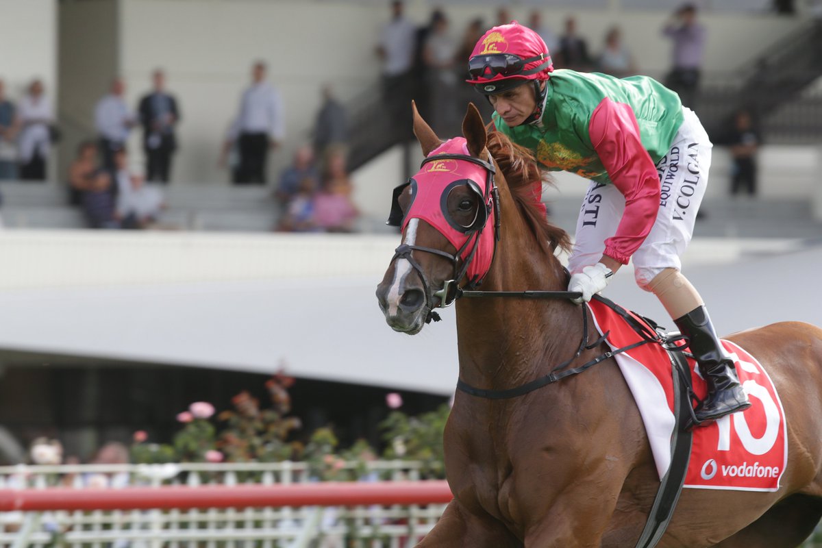 nzracingnews's tweet photo. Vinnie Colgan keen to make up a missed opportunity when he partners #TwoIllicit in the Gr.1 Cambridge Stud Zabeel Classic on Boxing Day
https://t.co/4lsQXvkyYZ https://t.co/mCf4jGLCeg