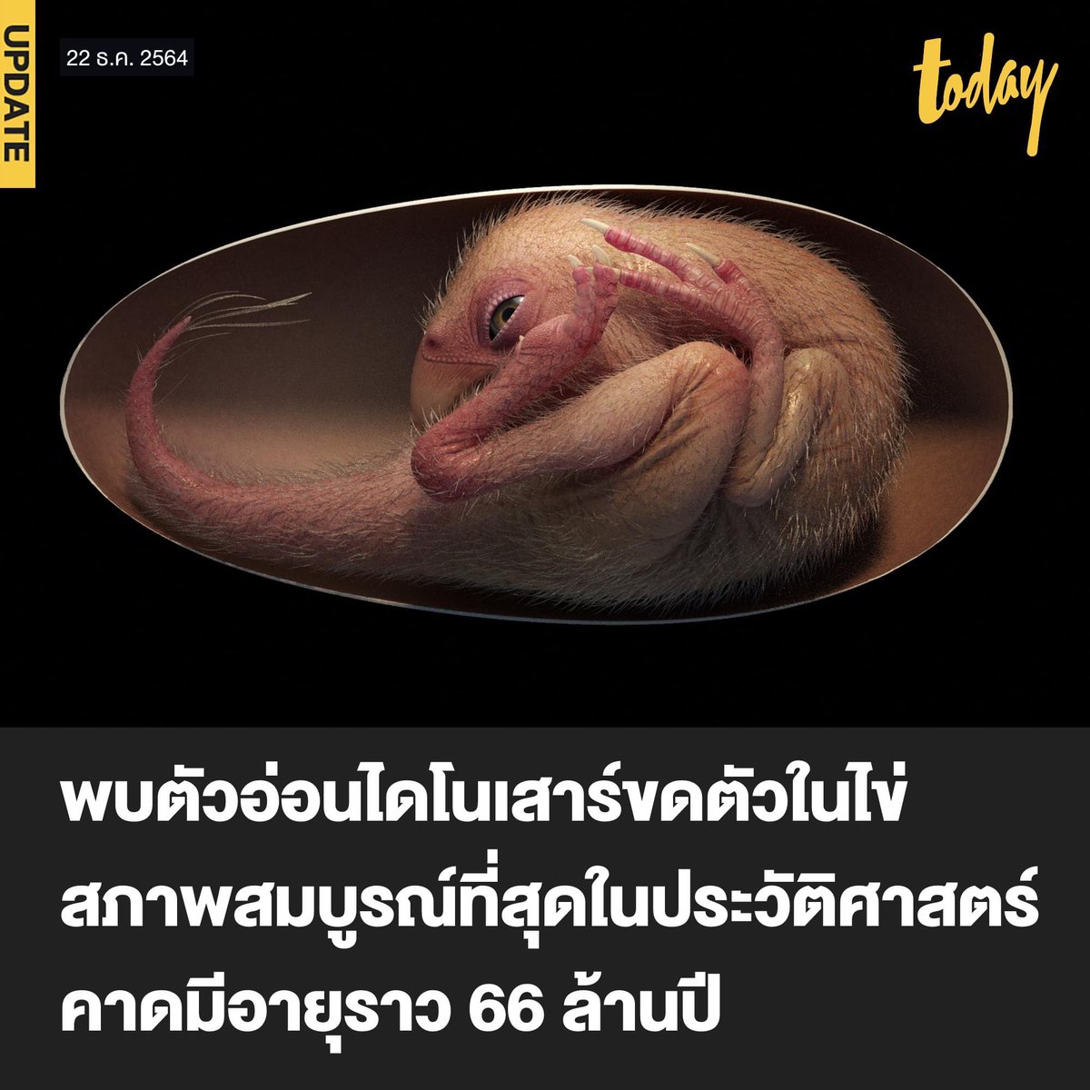 KomsakAddams's tweet image. จะปี 2022 แล้ว อะไรจะเกิดก็ต้องเกิด หากใครจะชุบชีวิตให้น้องคืนชีพ แล้วออกมาวิ่งเล่นแถวสุขุมวิทก็เชิญได้เลยนะคะ มีโควิดแล้ว จะมีไดโนเสาร์อีกจะเป็นไรไป