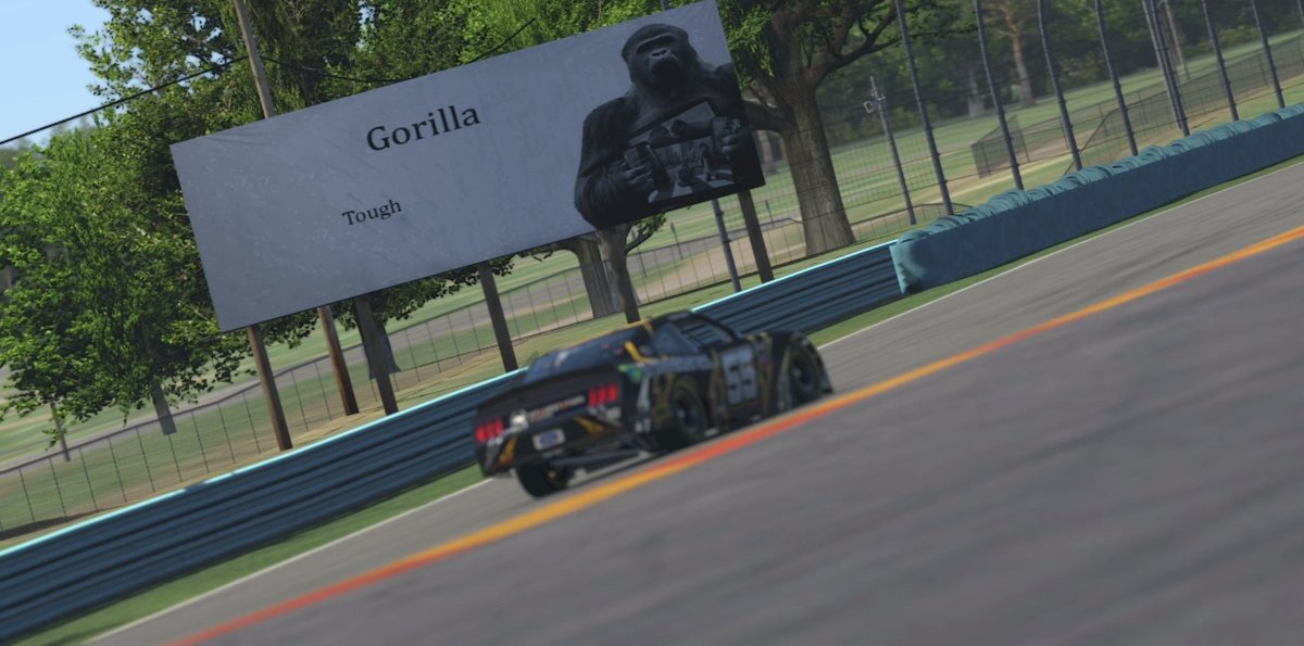 'Rilla. Tough.

#GorillaTough #iRacing