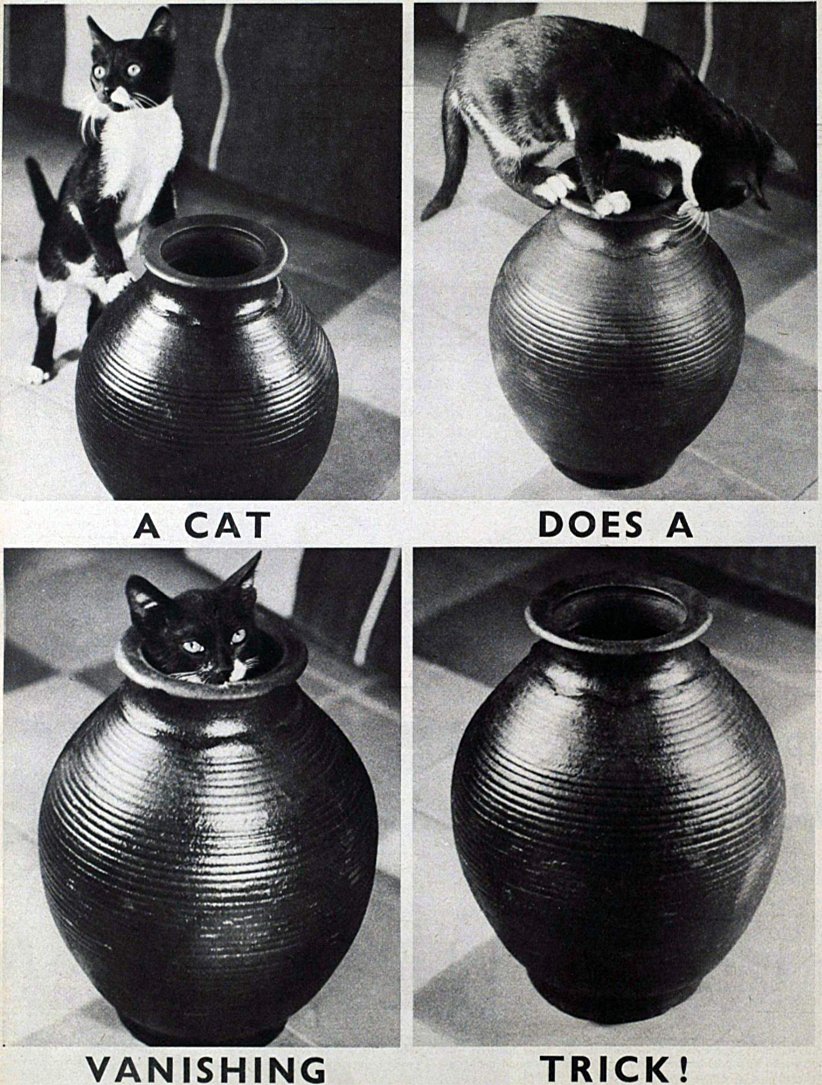 Picture Post, England, March 25, 1939