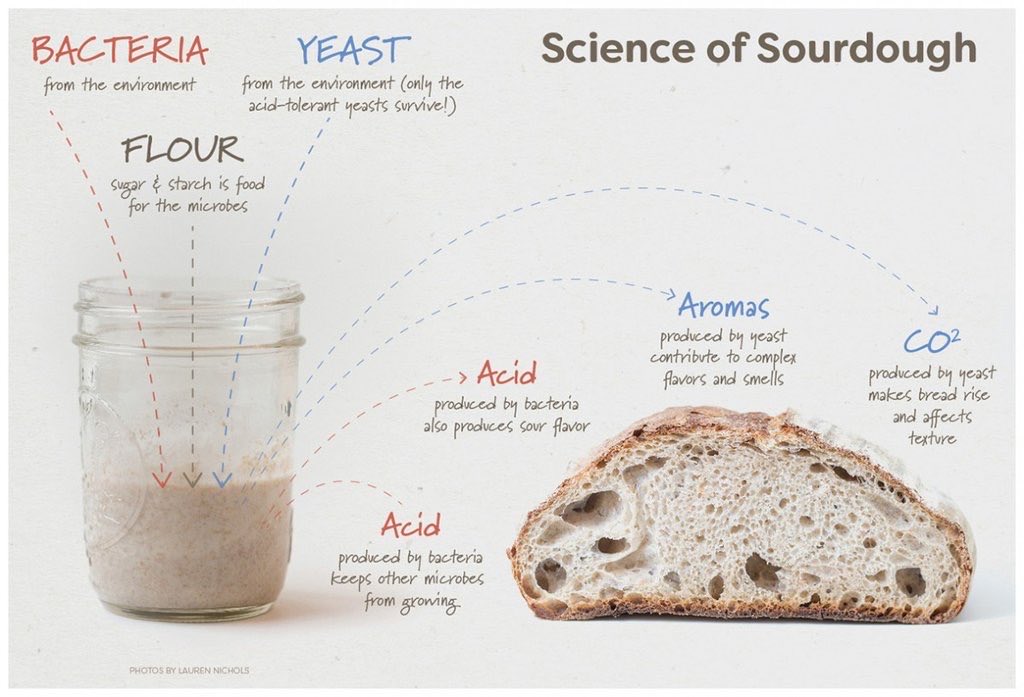 truthoftouchdr's tweet image. #sourdoughbread