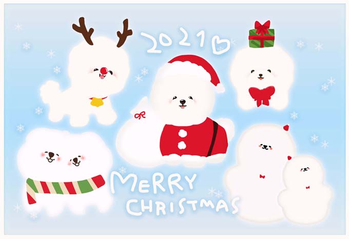 明後日はクリスマスだッ🎄🥳
#イラスト  #Christmas  #AdobeFresco #ビションフリーゼ