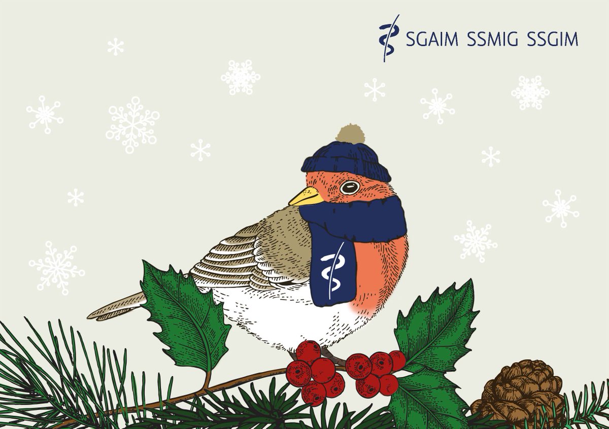 Die Schweizerische Gesellschaft für Allgemeine Innere Medizin wünscht frohe Festtage und einen guten Start in das neue Jahr!

La Société Suisse de Médecine Interne Générale (SSMIG) vous souhaite de joyeuses fêtes de fin d'année et un bon début d'année ! #Happyholidays