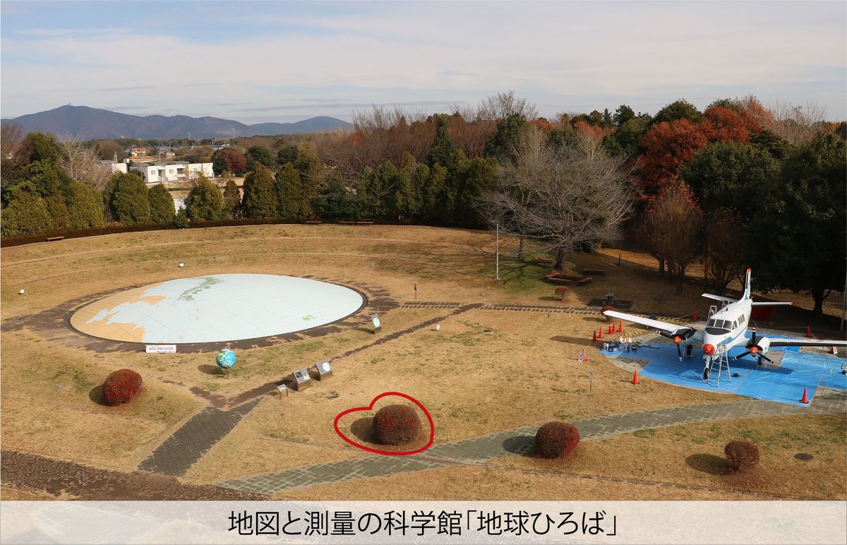 お気付きでしょうか？垣根と影がハート型に見えることに！ 「ハート型