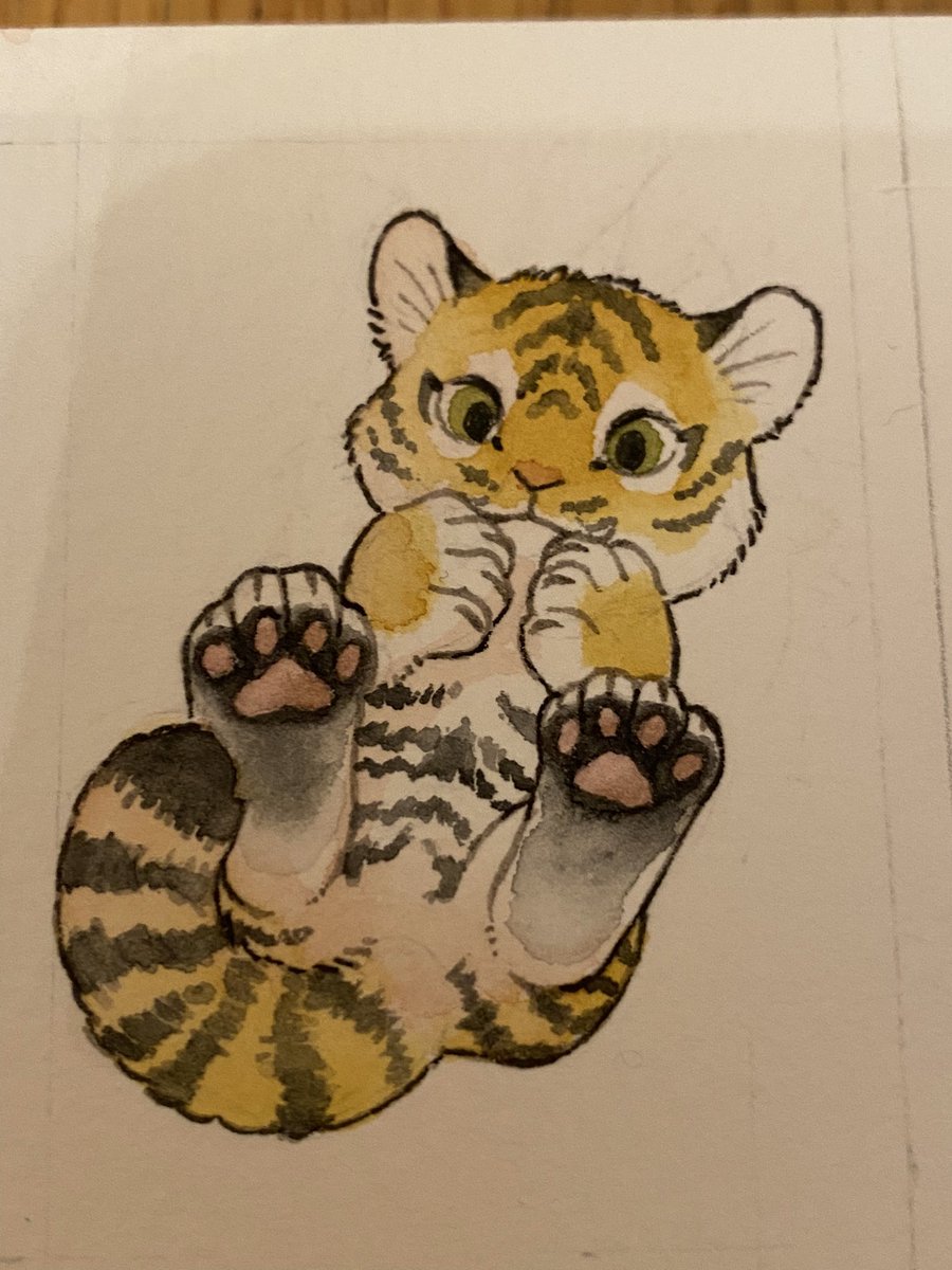taiyakineco's tweet photo. 🐯 https://t.co/6rFTVYfQqG