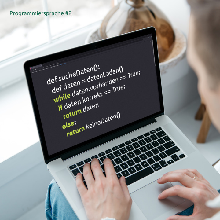 Kleiner Tipp: Die gesuchte Programmiersprache heißt wie ein berüchtigtes Reptil.  🦎