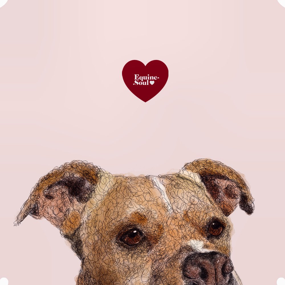 De Pedacitos Studio (@depedacitos_) on Twitter photo 