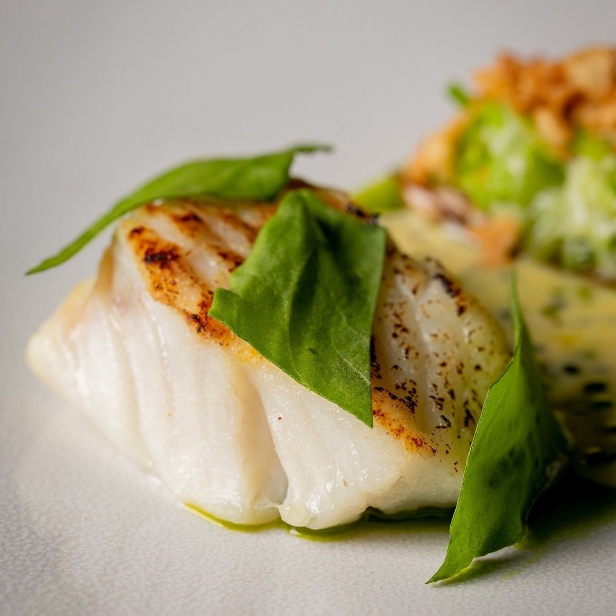 StevenEdwardsBR's tweet photo. C O D 
Butter roasted cod loin | Nyetimber sauce | leek.

Menu &amp; Bookings;
https://t.co/DtMciWnNSG

📧 be@binghamriverhouse.com
📞 0330 400 9988
🏡 @binghamriverhouse https://t.co/OvyrNmF9NE