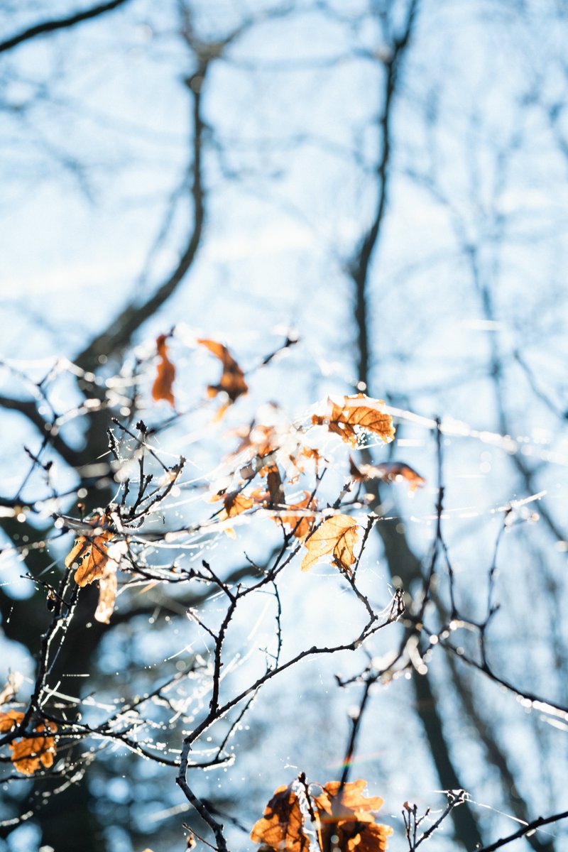 Having a break from the news and enjoying the winter sunbeams...