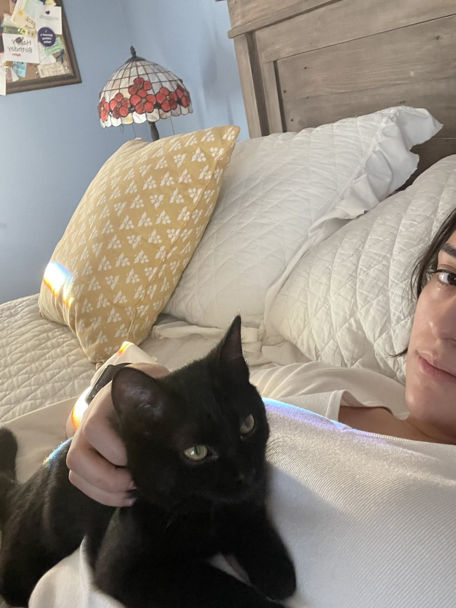 rat__trash_'s tweet photo. My favorite activity is taking pictures of Salem just existing and thinking they’re works of art https://t.co/wjkImzsDWH