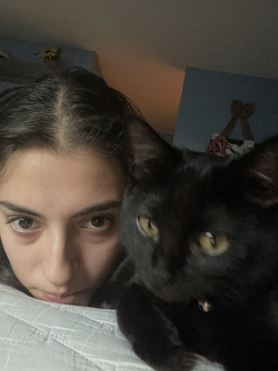 rat__trash_'s tweet photo. My favorite activity is taking pictures of Salem just existing and thinking they’re works of art https://t.co/wjkImzsDWH