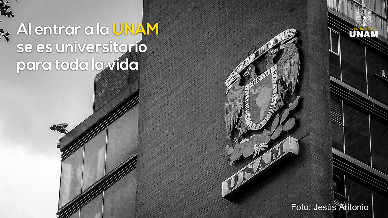 lo hizo canal altura FUNDACIÓN UNAM on Twitter: "No importa hace cuántos años terminaron sus  estudios, los #PUMAS nunca dejamos de ser #PUMAS. ¡NUNCA! 💙💛 ¡Descansen!  https://t.co/Nykxv1zOIH" / Twitter