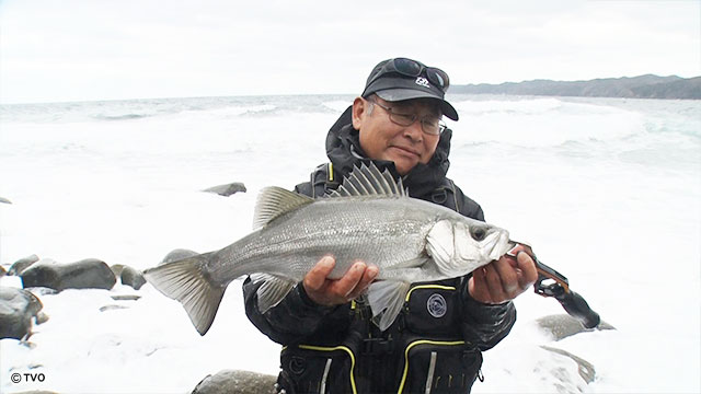 ｻﾞﾌｨｯｼﾝｸﾞ Twitter Search Twitter