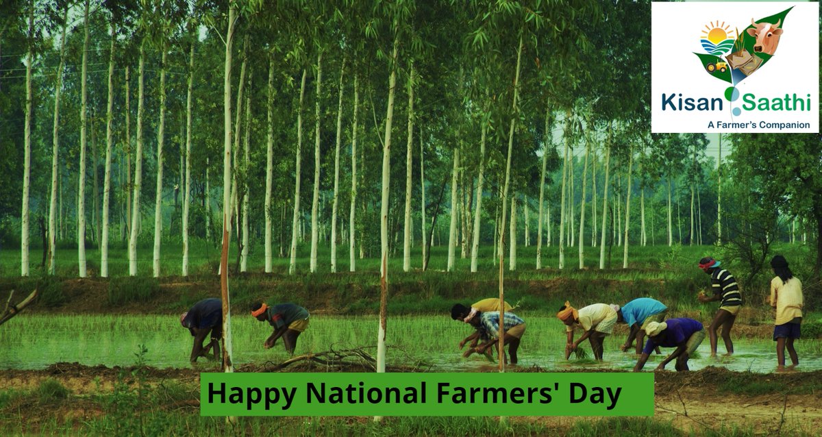 KisanSaathi's tweet photo. #kisansaathi for #FPOs #MarketingLinkages

A Warm Wishes of National Farmers Day to all our Growers and Feeders #NationalHappyFarmers

#JaiJawan #JaiKisan #LongLiveFarmers https://t.co/38Is9bENUV