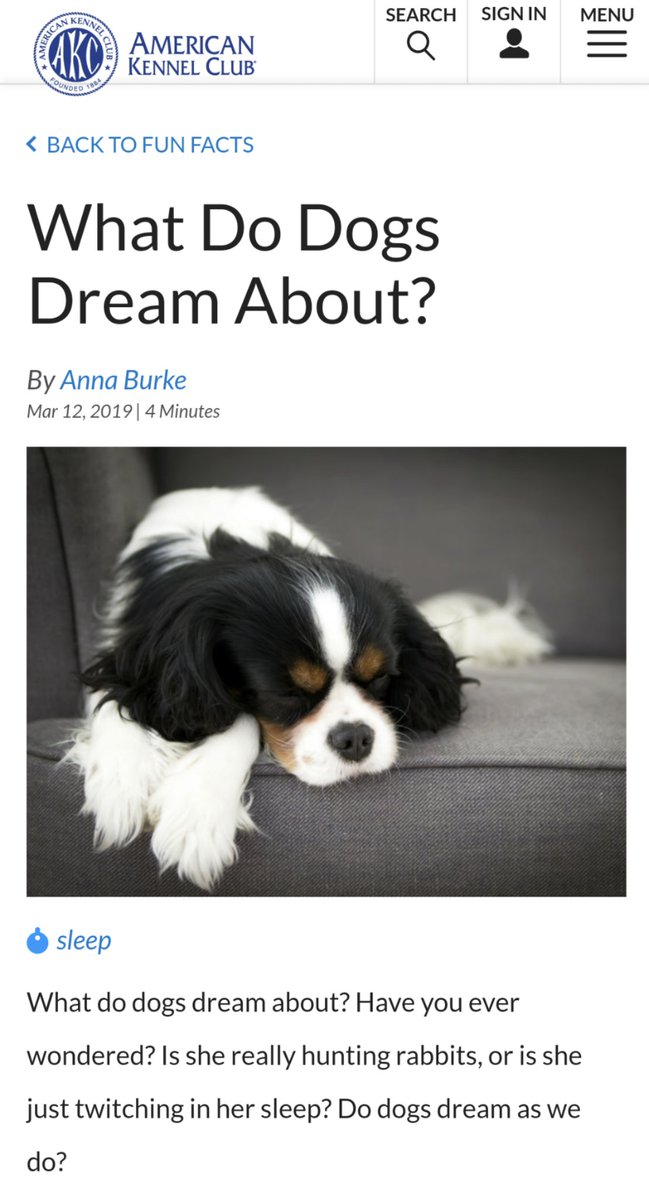 jaybabylewis's tweet photo. “What we’ve basically found is that dogs dream doggy things . . . The dream pattern in dogs seems to be very similar to the dream pattern in humans” https://t.co/7YWvqDseZD