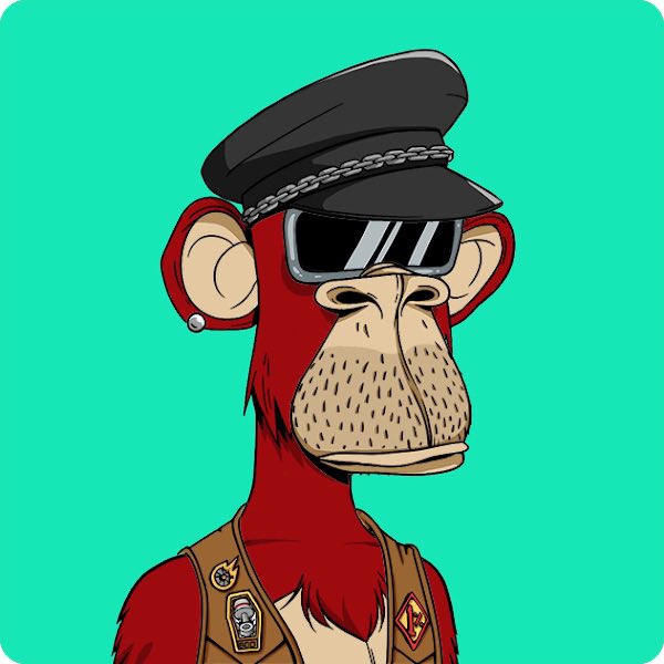 Matt Steffanina tweet media