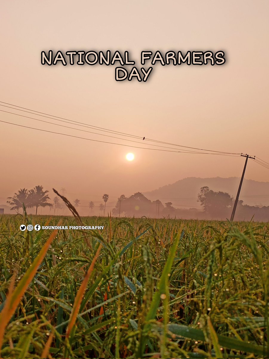 SoundharKaruna's tweet photo. National farmers day 🌾🌾 #NationalFarmersDay #farmersprotests #FarmersDay #FarmersProtest https://t.co/7sB0X6fvMx