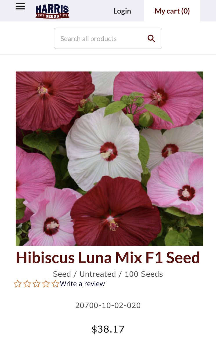 hibiscus_dao's tweet photo. thinking about raising one of those “seed round”s we keep hearing about https://t.co/hZVj6Qhyqf