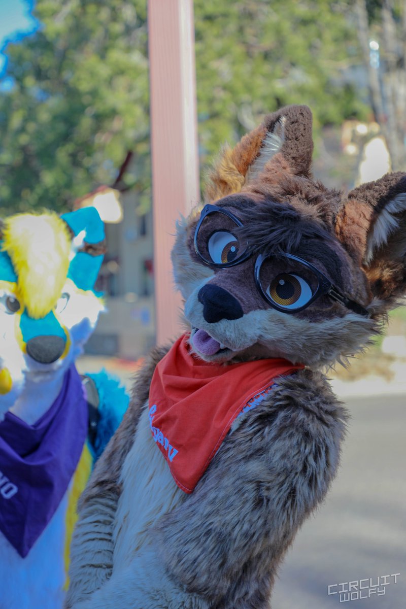 CircuitWolfy's tweet image. Really awesome to see @Cugarulobo at the @SanDiegoFurries meetup!

More photos: flickr.com/CircuitWolfy/a…
