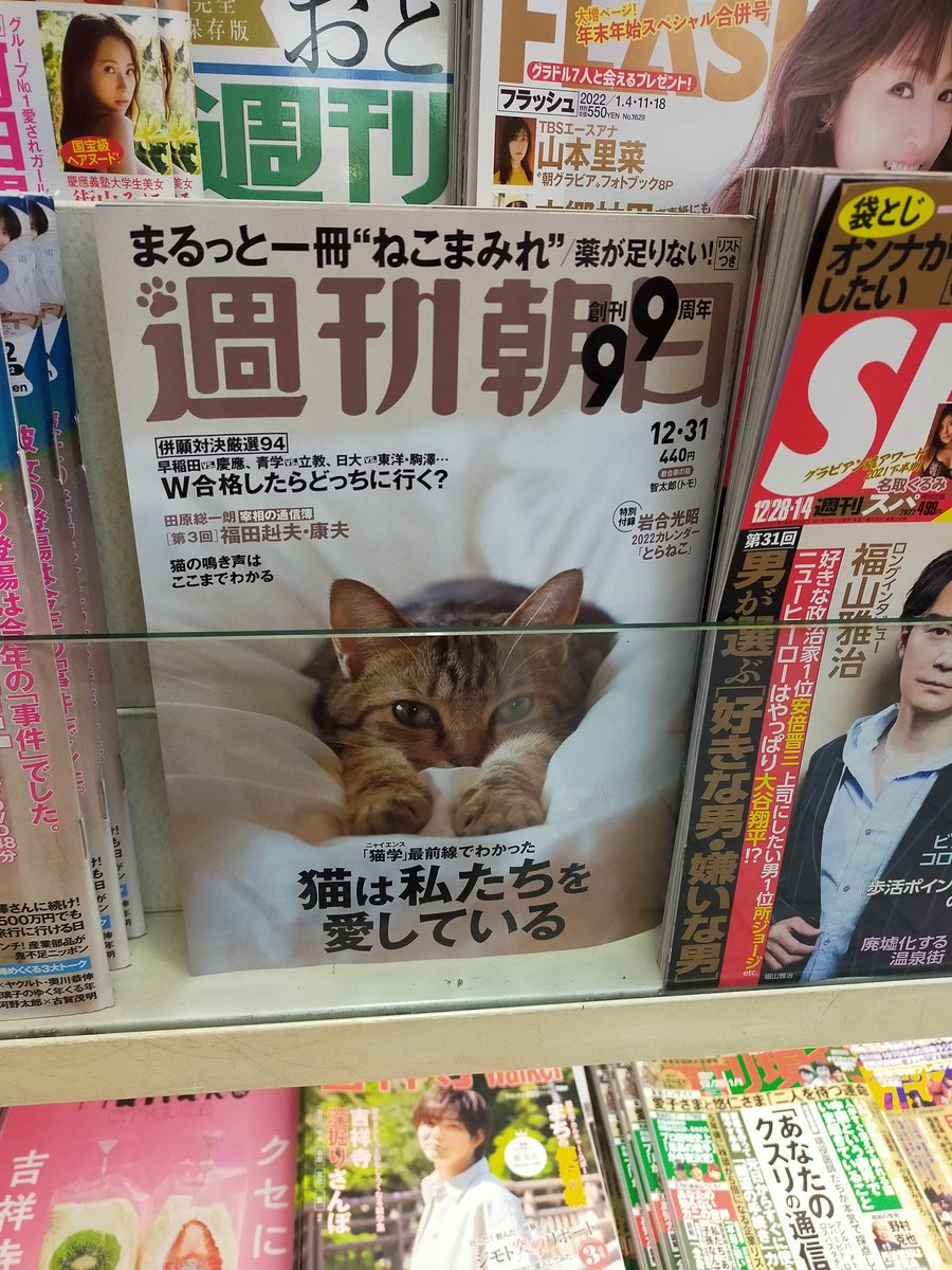 週刊朝日人気らしい 岩合光昭 とらねこ カレンダー 猫好きさんと繫がりたい 週刊誌 21 12 23 神楽坂ねこの郵便局というなまえのお店 週刊朝日人気らしい 岩合光昭 とらねこ カレンダー 猫好きさんと繫がりたい 週刊誌 21 12 23 神楽坂ねこの郵便局というなまえのお店