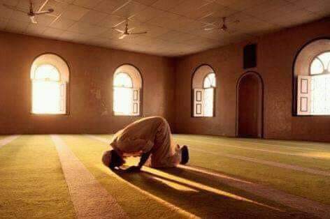 ATwtakhyl's tweet photo. د هر مشکل یوازینی حل اودس کول او مسجد ته تلل دي.
@ATwtakhyl https://t.co/Jb2l6SrQb7