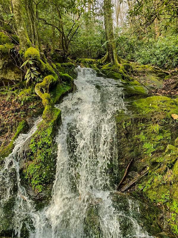 Throwing it back to a different season and time. 

(Spring, 2020)

#throwbackthursday #tbt #greatsmokymountains #smokymountains #northcarolina #waterfall #explorenorthcarolina #mountains #moss #explorethesmokies #nikon #nikonusa #nikonphotography