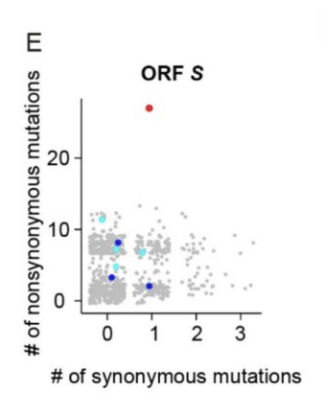 tony_vandongen's tweet photo. Omicron does not have a natural origin.
Its mutation properties place it in its own league when compared to all the natural variants.
Red dot is Omicron. Blue dots are Variants of Concern (Delta etc.). Gray dots are other variants. Notice how isolated Omicron is. https://t.co/7BHmaayD7s