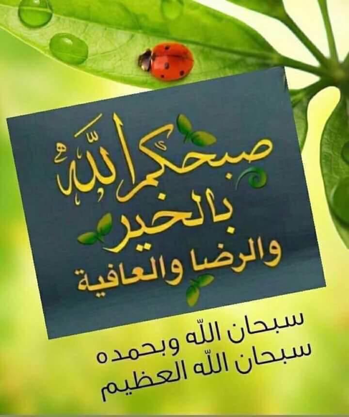 <a href="/samarothman151/">🇸🇾samar🇸🇾</a> <a href="/Germanykarmen/">💛 ڪــٰا̍ڕمۭــنۨ🦋</a>