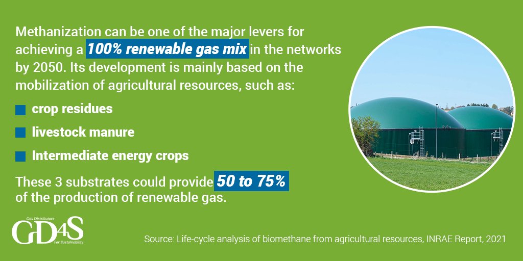 gd4s_eu's tweet photo. 🔄Study shows that a Life Cycle Analysis favours the development of agricultural #methanization and that #biomethane is one of the key levers to #decarbonise the #energy network. More info here 👉https://t.co/bOLb1JTS9Q https://t.co/MapkG3Jcpp