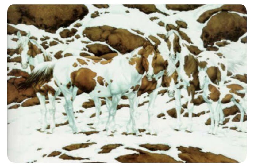 KRTN_Will's tweet photo. How many horses can you see?🤔🤔🤔🤔🤔🤔🤔🤔🤔🤔🤔🤔 https://t.co/KxMi4QJJ9r