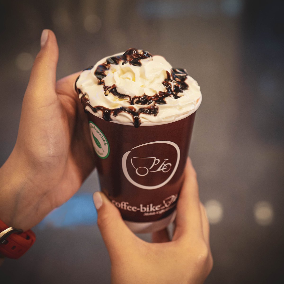 CoffeeBikeQatar's tweet photo. Hot Chocolate season 

#coffeebikeqatar #qatar https://t.co/dKAoKRUUwf